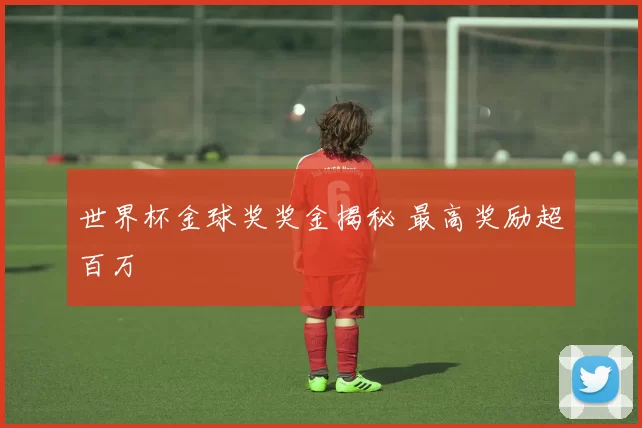 世界杯金球奖奖金揭秘 最高奖励超百万