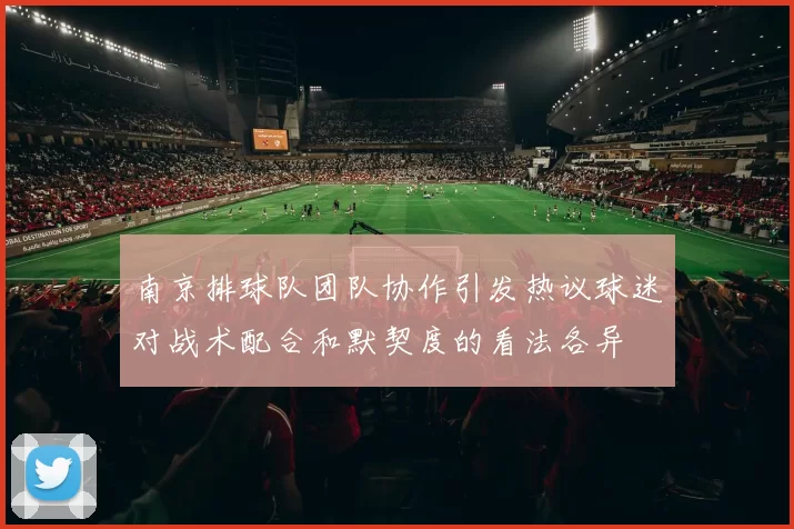 南京排球队团队协作引发热议球迷对战术配合和默契度的看法各异