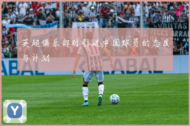 英超俱乐部对引进中国球员的态度与计划