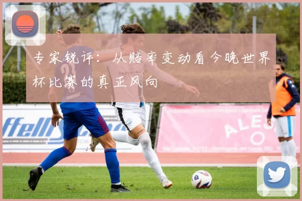 专家锐评：从赔率变动看今晚世界杯比赛的真正风向