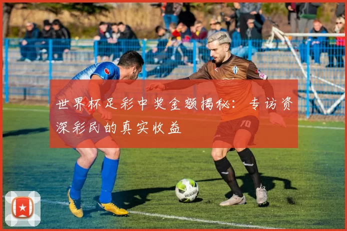 世界杯足彩中奖金额揭秘:专访资深彩民的真实收益