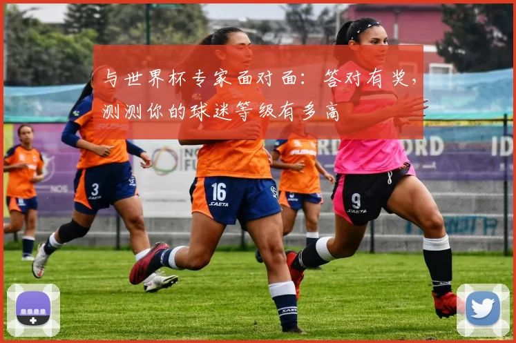 与世界杯专家面对面:答对有奖,测测你的球迷等级有多高