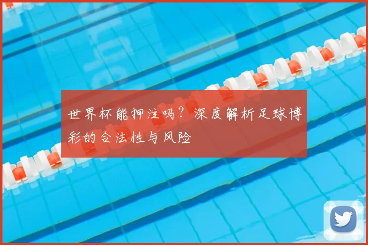 世界杯能押注吗？深度解析足球博彩的合法性与风险