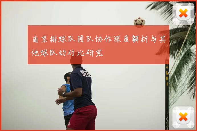 南京排球队团队协作深度解析与其他球队的对比研究