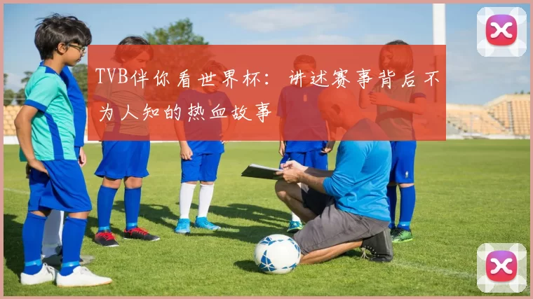 TVB伴你看世界杯：讲述赛事背后不为人知的热血故事