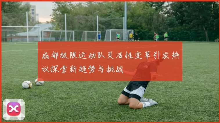 成都极限运动队灵活性变革引发热议探索新趋势与挑战
