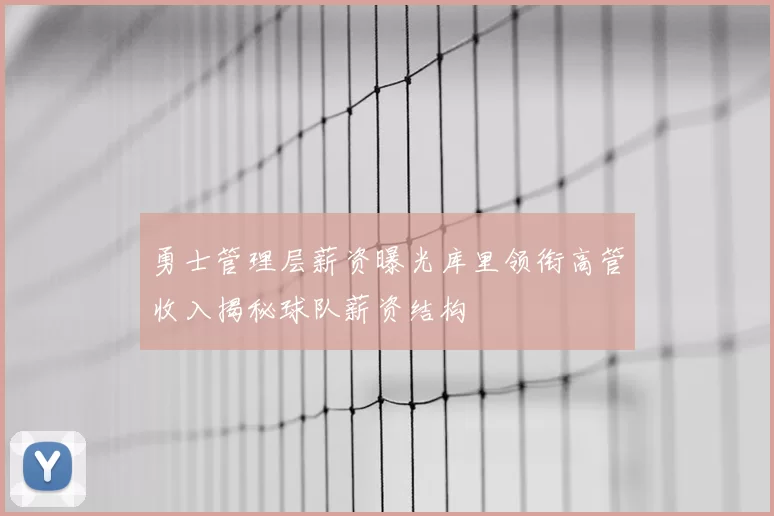勇士管理层薪资曝光库里领衔高管收入揭秘球队薪资结构