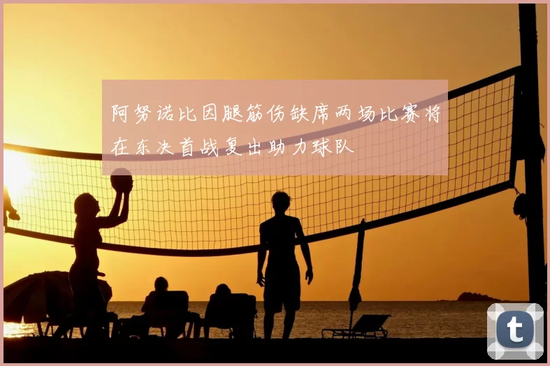 阿努诺比因腿筋伤缺席两场比赛将在东决首战复出助力球队