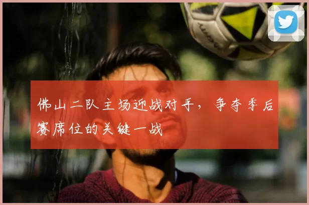 佛山二队主场迎战对手,争夺季后赛席位的关键一战