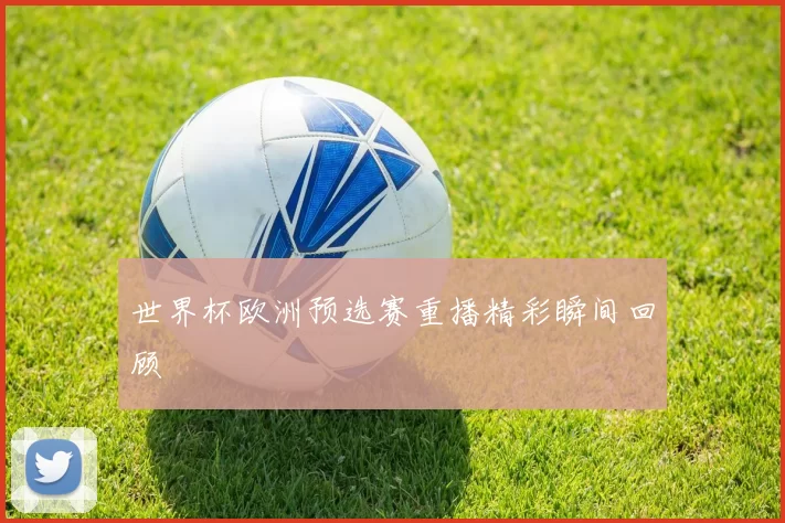 世界杯欧洲预选赛重播精彩瞬间回顾
