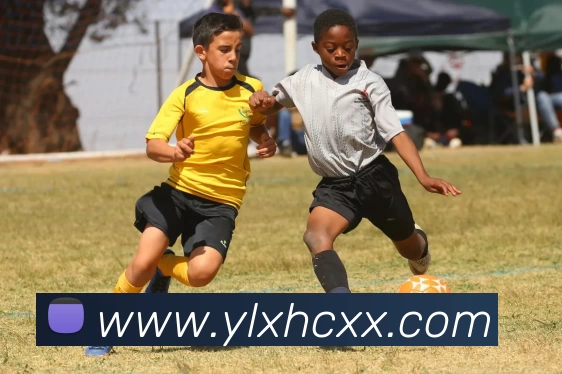 爱游戏官网发展历程